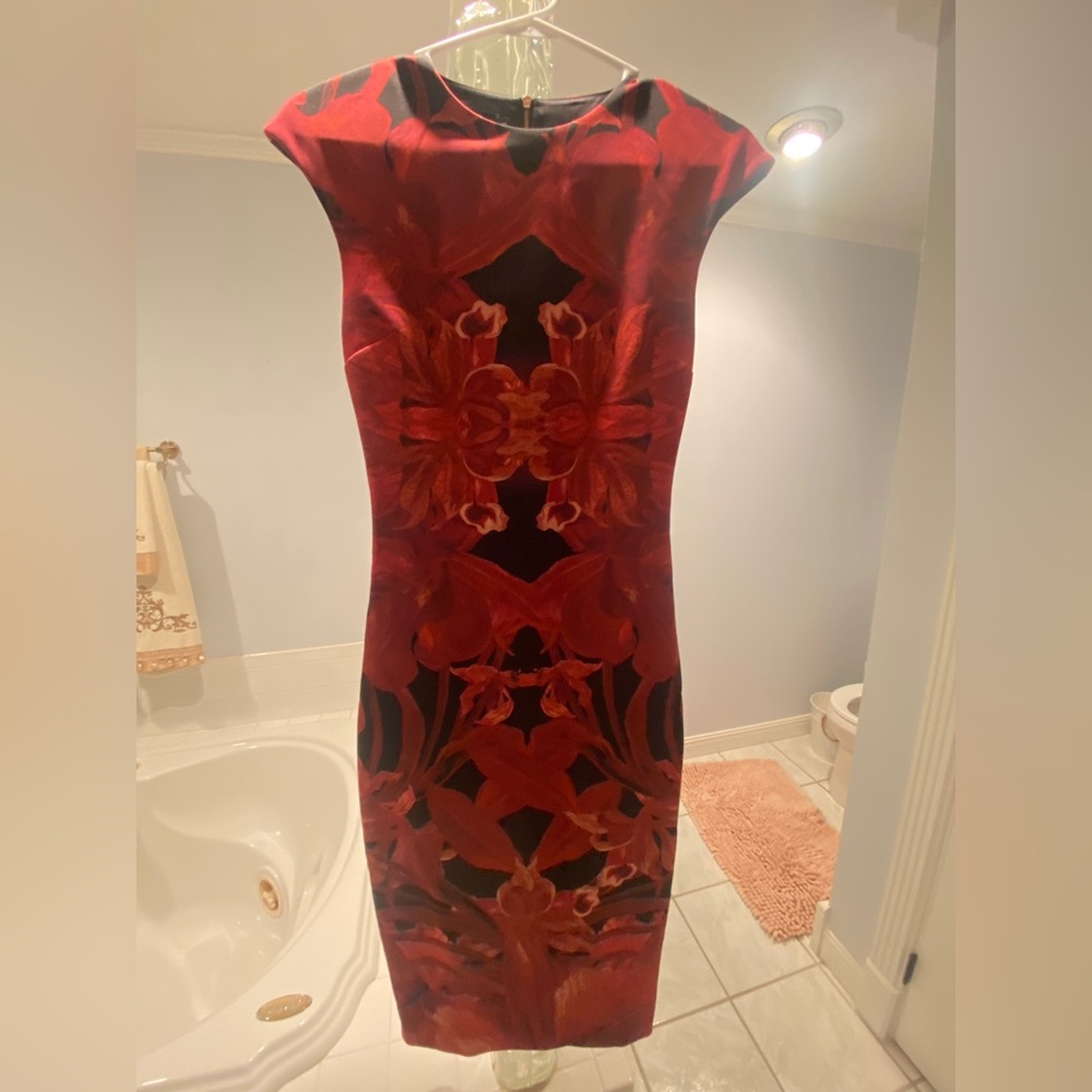 Stunning Ted Baker dress